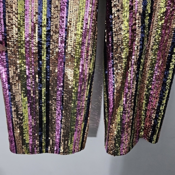Rasario Multicolor Striped Sequin Straight Leg Pants - Picture 9 of 12